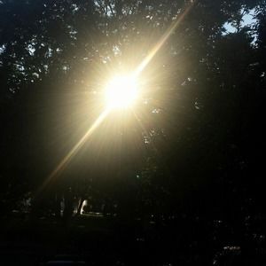 Meet your Posher, Andicea